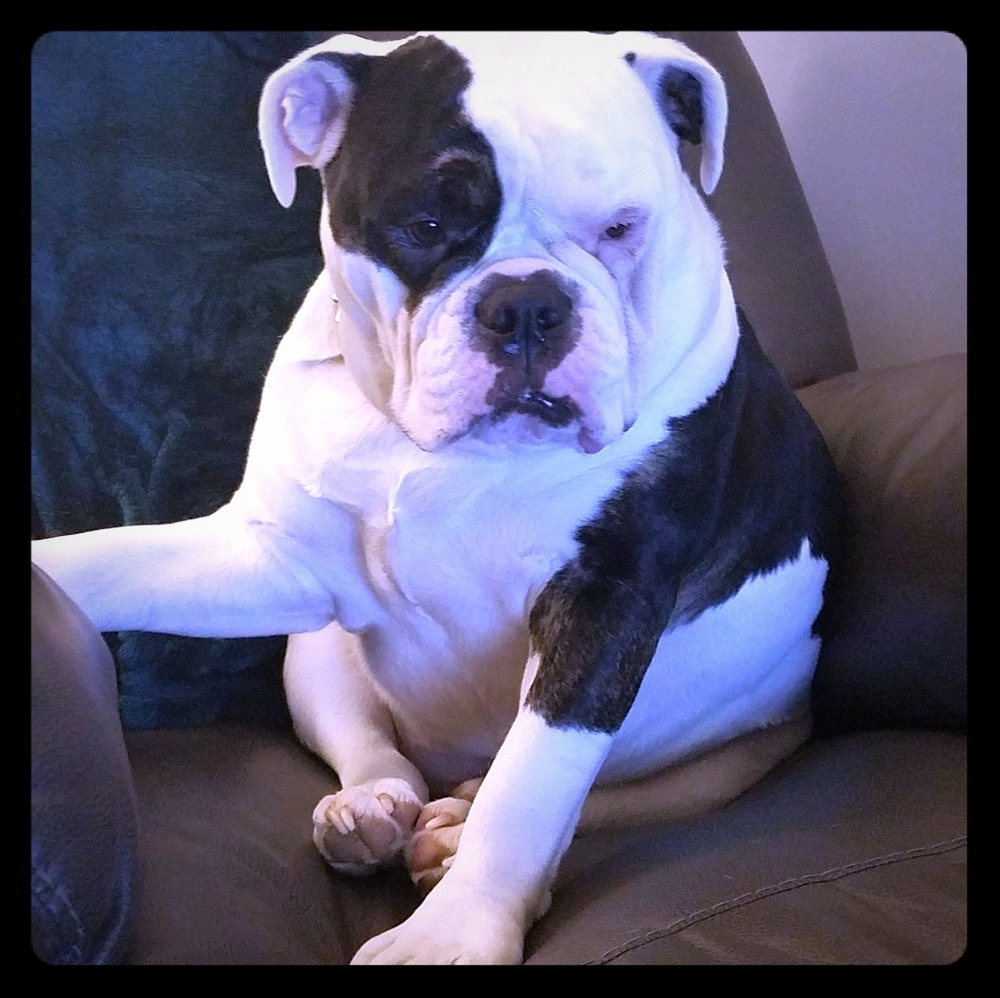 ❤❤MEET YOUR POSHER❤❤